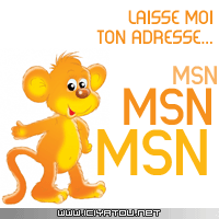 stp lacher votre msn